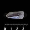 LEMURIAN-ESPECIAL-30MM-3-1-1.jpg