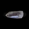 LEMURIAN-ESPECIAL-30MM-4-1-1.jpg