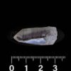 LEMURIAN-ESPECIAL-30MM-3-1-1-1.jpg